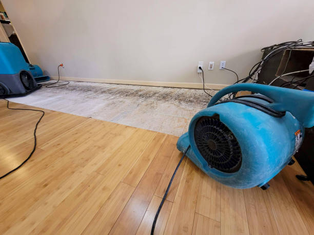 Professional Sewage Cleanup technician working in Luna Pier, MI